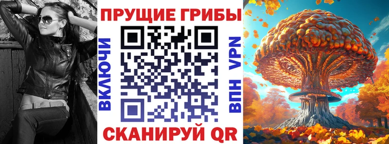Купить где  Вяземский  Псилоцибиновые грибы MAGIC MUSHROOMS 