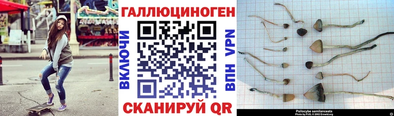 Галлюциногенные грибы Cubensis Вяземский