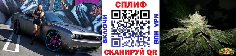 Купить закладки  Вяземский  Шишки марихуана OG Kush 